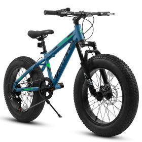 V20235 20 Inch Fat Tire Bike Adult 7 Speed Mountain Bike, Dual Disc Brakes, High Carbon Steel Frame, Front Suspension, Mountain Buggy (Color: Blue)