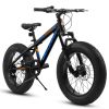 V20235 20 Inch Fat Tire Bike Adult 7 Speed Mountain Bike, Dual Disc Brakes, High Carbon Steel Frame, Front Suspension, Mountain Buggy