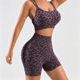 Women's Leopard Print Workout Sets 2 Piece Outfits Crop Tank Tops and Shorts Sports Yoga Gym Tracksuit (Color: Wine Red, size: M)