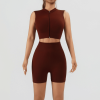 2 Piece Workout Sets for Women High Waisted Shorts Tummy Control Shorts Yoga Sports Tank