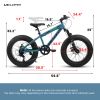 V20235 20 Inch Fat Tire Bike Adult 7 Speed Mountain Bike, Dual Disc Brakes, High Carbon Steel Frame, Front Suspension, Mountain Buggy