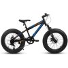 V20235 20 Inch Fat Tire Bike Adult 7 Speed Mountain Bike, Dual Disc Brakes, High Carbon Steel Frame, Front Suspension, Mountain Buggy