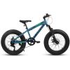 V20235 20 Inch Fat Tire Bike Adult 7 Speed Mountain Bike, Dual Disc Brakes, High Carbon Steel Frame, Front Suspension, Mountain Buggy